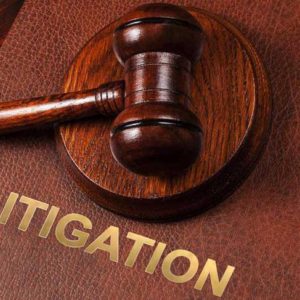 Litigation Services